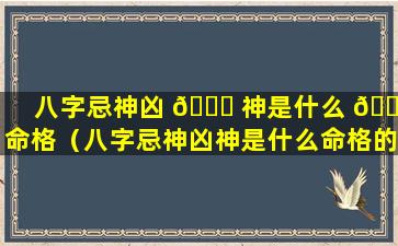 八字忌神凶 🍀 神是什么 🕷 命格（八字忌神凶神是什么命格的人）